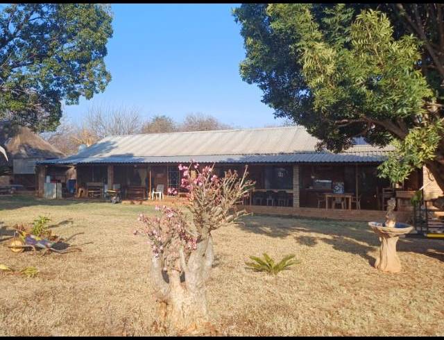 FARM FOR SALE IN LOUIS TRICHARDT RURAL